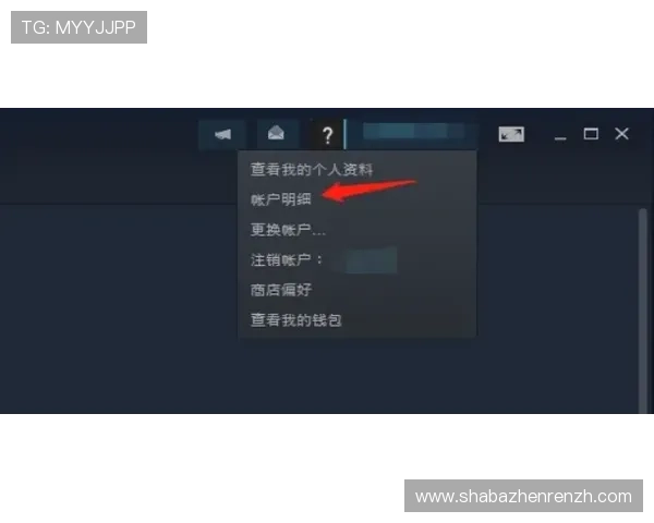 云顶注册网址官方入口指南，详细步骤助你顺利注册云顶账号