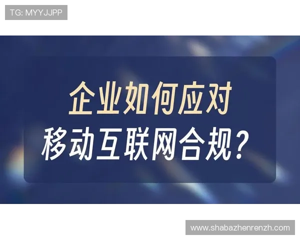 PA视讯官网集团的合规运营与法律责任，保障用户权益的具体措施