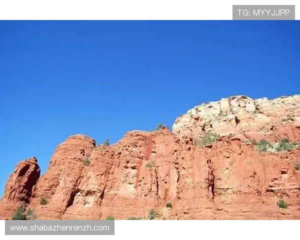 pa视讯官方网站首页的用户指南与常见问题解答，帮助新手快速上手并解决使用中的疑问